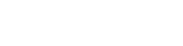 SureForce Logo